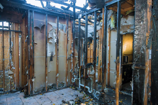 Professional Fire Damage Removal technician working in Honolulu, HI